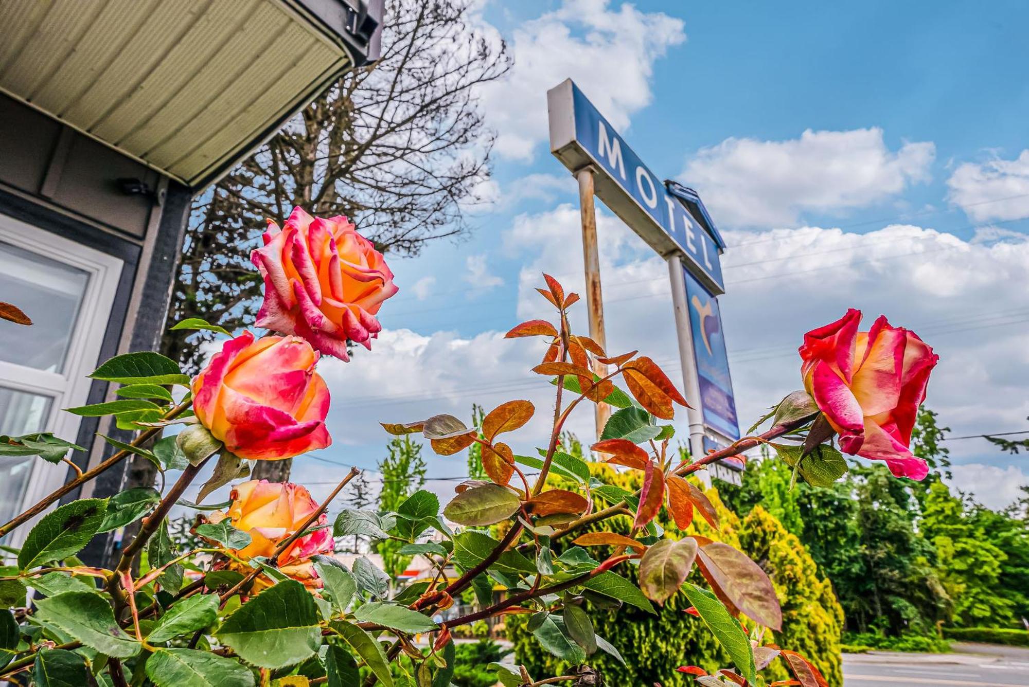 Bluebird Motel Nanaimo Kültér fotó